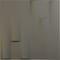 Ekena Millwork 19 5/8in. W x 19 5/8in. H Hamilton EnduraWall Decorative 3D Wall Panel Covers 2.67 Sq. Ft. WP20X20HAISG - alternate 1